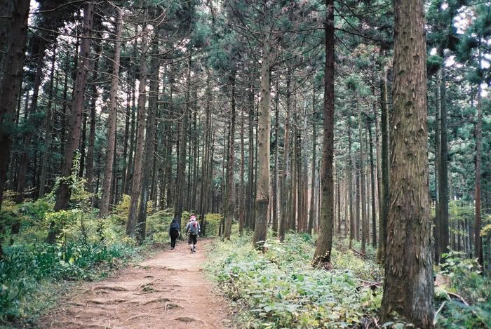 12FV, expired film, Fuji Pro400H, Olympus Stylus Epic, Mt Sekirou