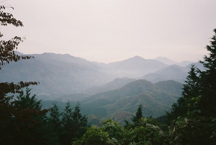 12FV, expired film, Fuji Pro400H, Olympus Stylus Epic, Mt Sekirou