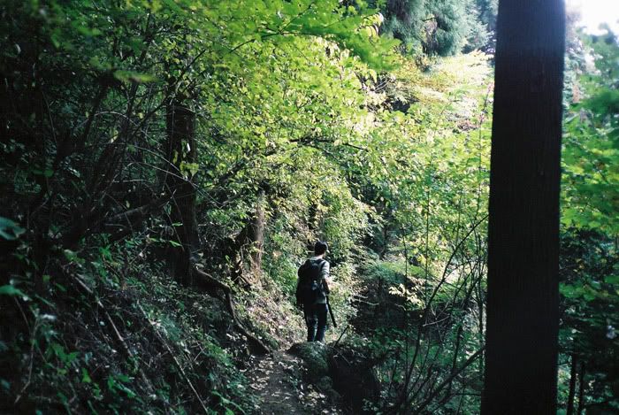 12FV, expired film, Fuji Pro400H, Olympus Stylus Epic, Mt Sekirou