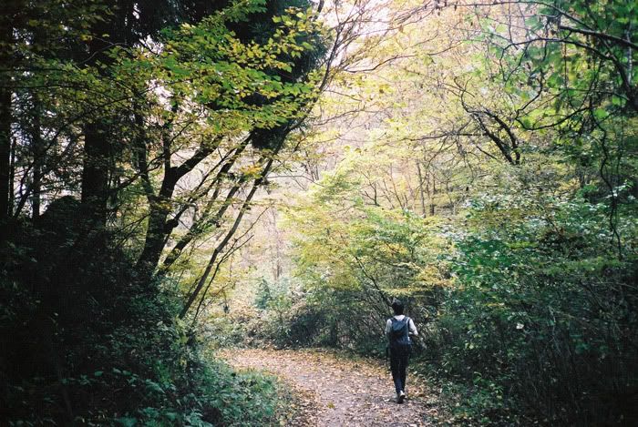 12FV, expired film, Fuji Pro400H, Olympus Stylus Epic, Mt Sekirou