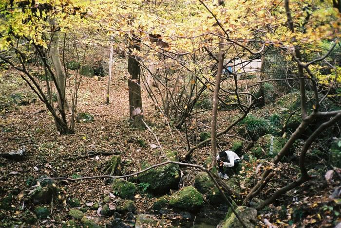 12FV, expired film, Fuji Pro400H, Olympus Stylus Epic, Mt Sekirou