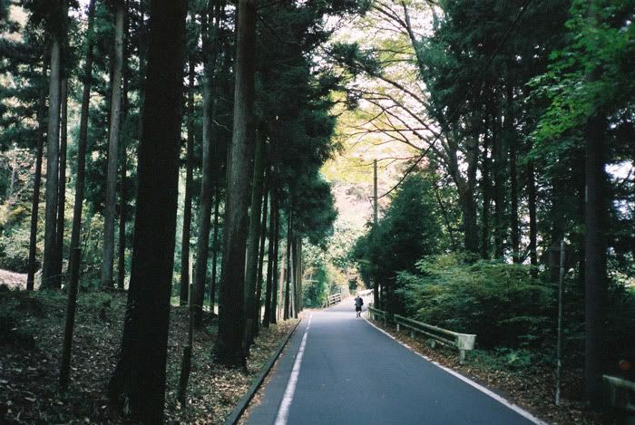 12FV, expired film, Fuji Pro400H, Olympus Stylus Epic, Mt Sekirou