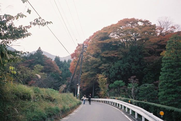 12FV, expired film, Fuji Pro400H, Olympus Stylus Epic, Mt Sekirou