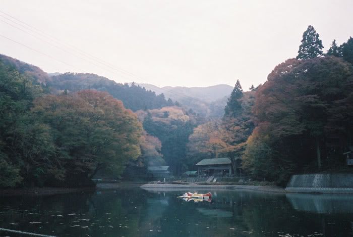 12FV, expired film, Fuji Pro400H, Olympus Stylus Epic, Mt Sekirou