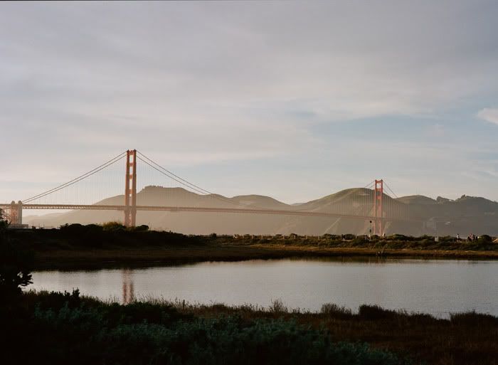 sf twelves 11, 12fv, mamiya 645
