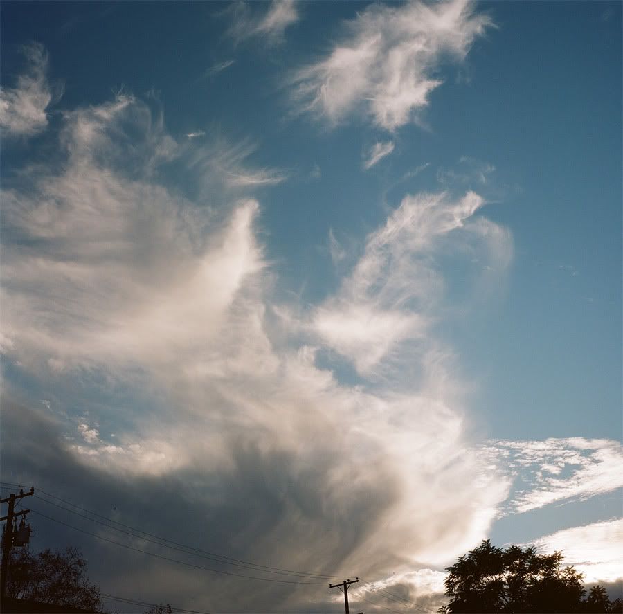 lazy sundays, yashica 124g, kodak portra 160nc, 12fv