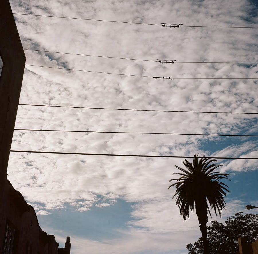 lazy sundays, yashica 124g, kodak portra 160nc, 12fv