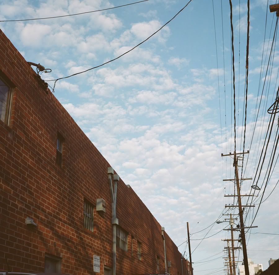 lazy sundays, yashica 124g, kodak portra 160nc, 12fv