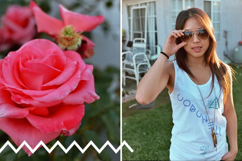 coachella 2011 lifestyle, 12fv