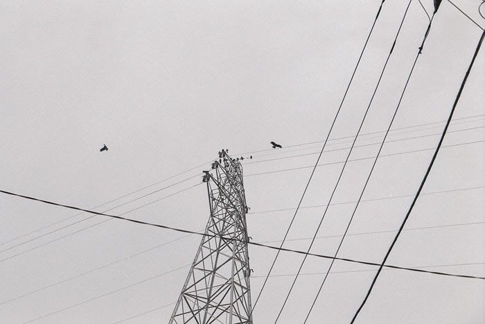 12fv, pulled film, kodak tmax 400, nikon f3hp, japan