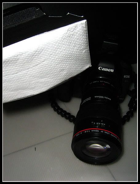 IMAGE: http://i51.photobucket.com/albums/f367/gckw8833/Camera%20hardware/IMG_0515.jpg