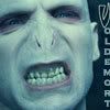 Voldemort (The Dark Lord)