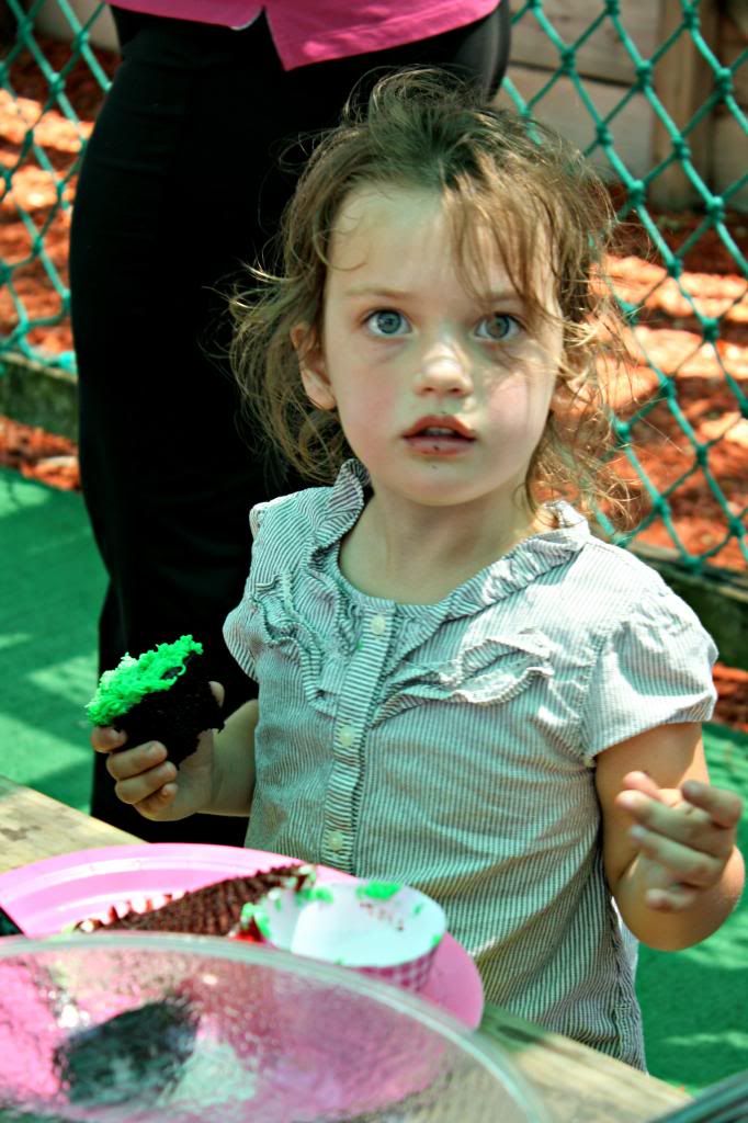 photo IMG_8654-1.jpg