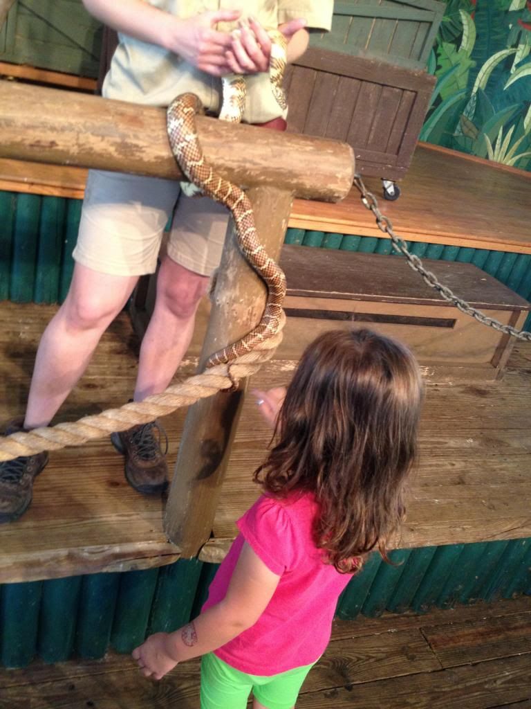 photo snake.jpg