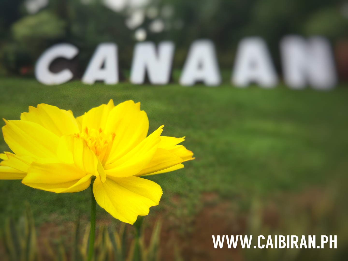 Canaan Gardens Caibiran Biliran