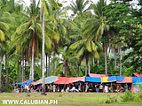 Villalon Fiesta, Calubian Municipality, Leyte