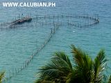 Fish Corral, The Philippines