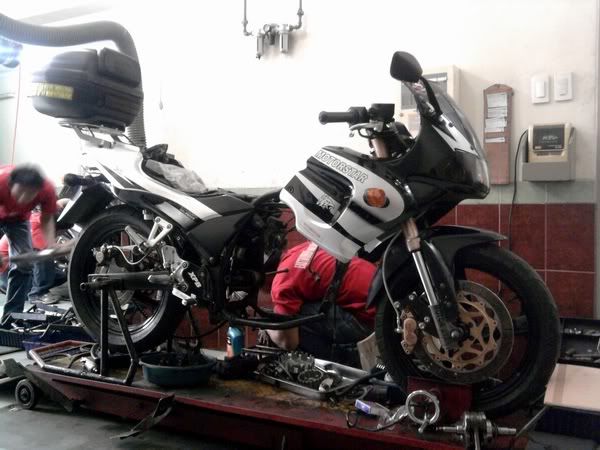 My Z250 gone under the knife orchiectomy surgically remove her balls 