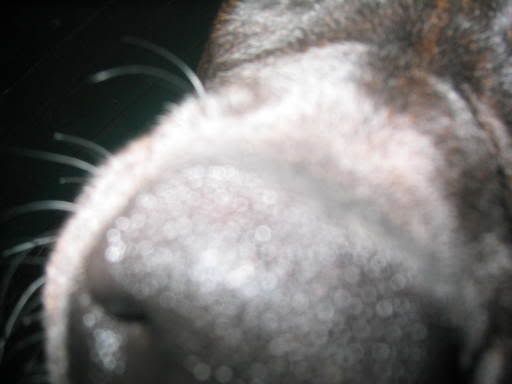 Image hosted by Photobucket.com