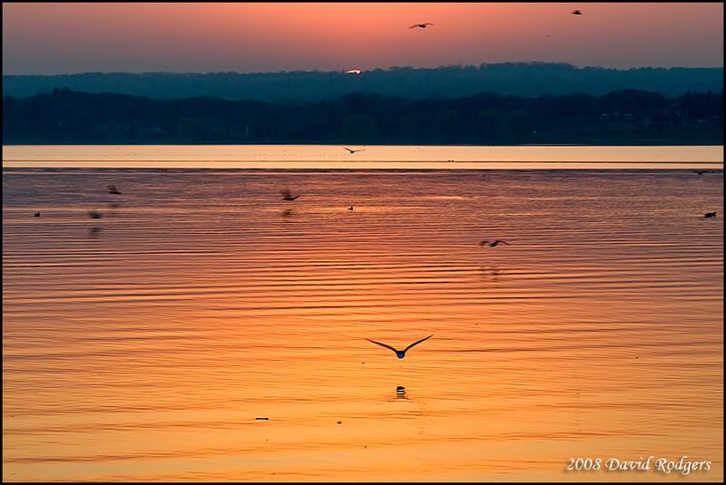 sunset-over-the-bay-for-web.jpg