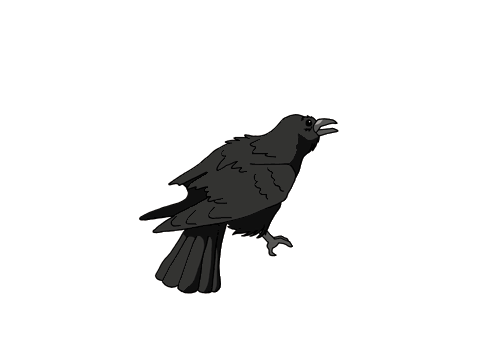 animated-crow3.gif