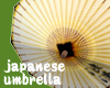 japanese umbrella