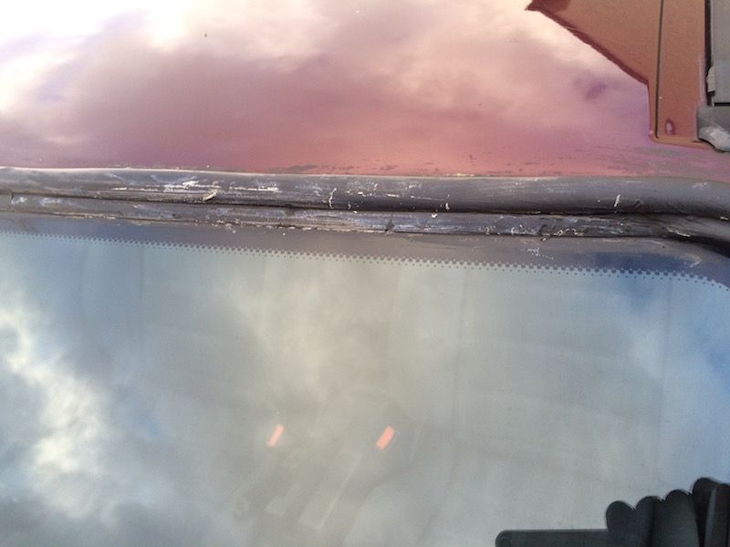 IMG_0779_zpsycwddvse.jpg~original