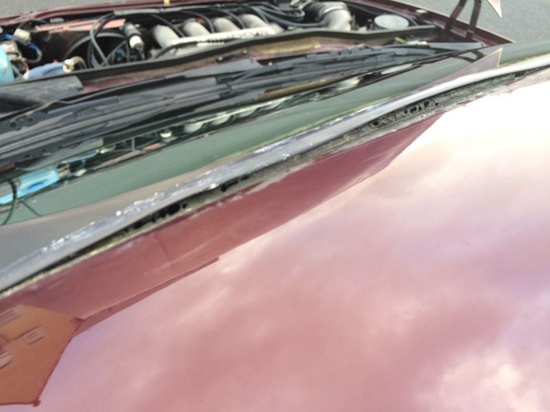 IMG_0780_zpsfnp84qf0.jpg~original