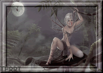 terri_birthday_fog_small.gif picture by wildflowerco62