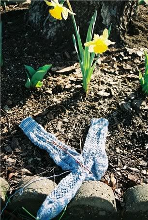 Gull Wing Socks