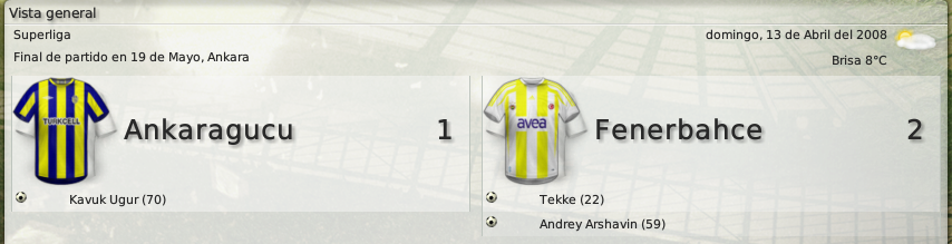 Ankaragucu-FenerbahceVistageneral.png