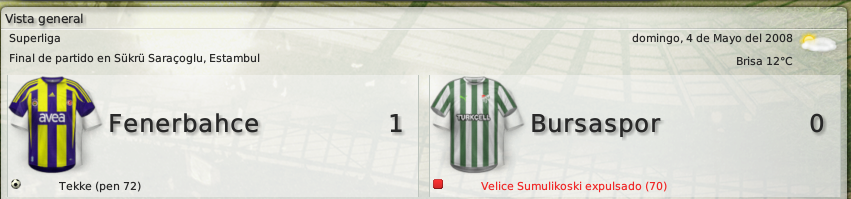 Fenerbahce-BursasporVistageneral.png