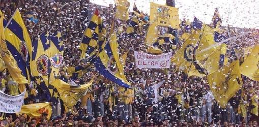 fenerbahce_fans1.jpg