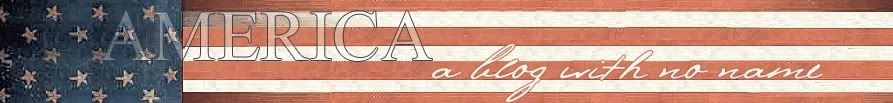 usa-banner.jpg