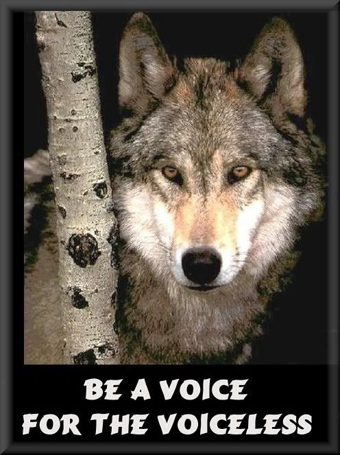 be-a-voice.jpg