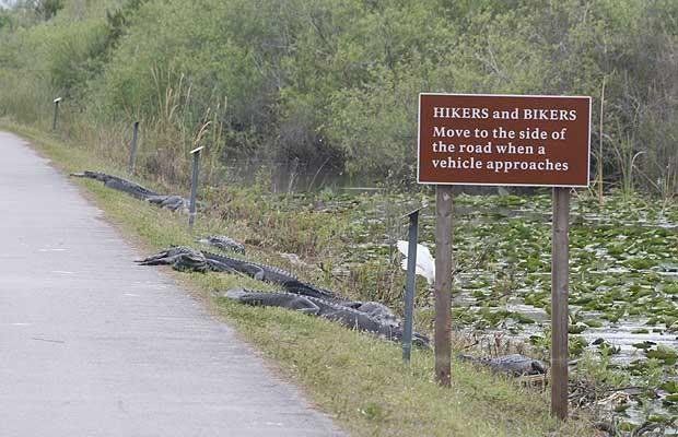 FloridaSign.jpg