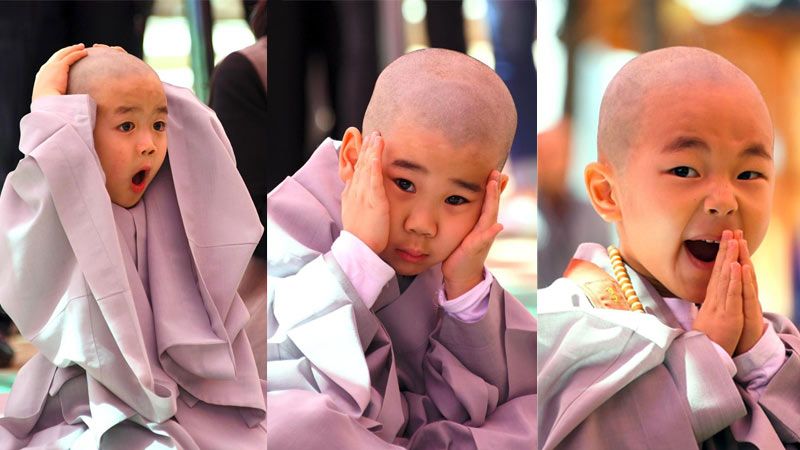 Beragam ekspresi samanera kecil dari terkejut hingga merasa mengantuk setelah rambut mereka di cukur