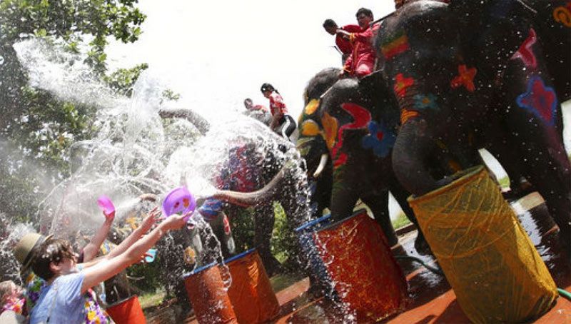Gajah-gajah ikut menyemburkan air ke para turis yang mengikuti perayaan Songkran 2017 di Ayutthaya, Thailand.