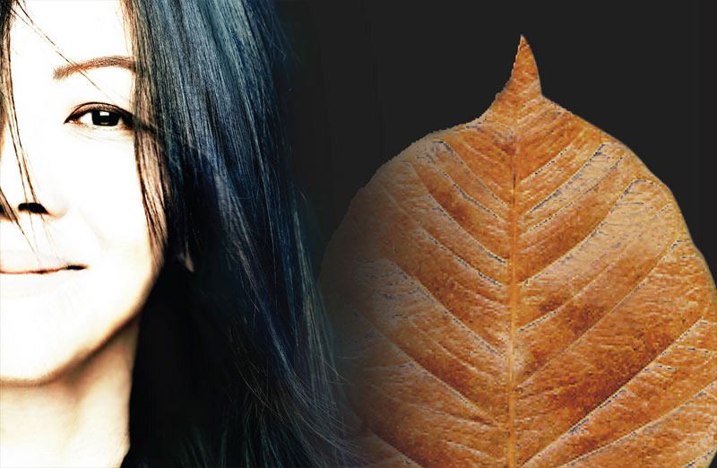 Imee Ooi -Sound of Wisdom