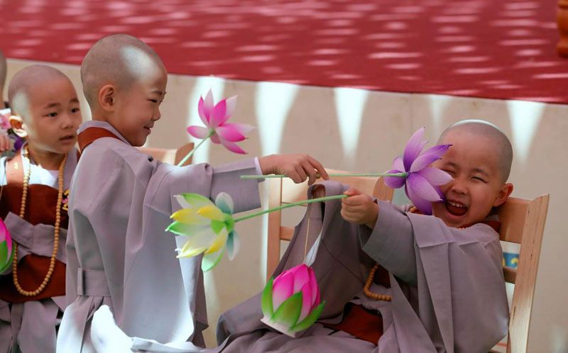 Seorang samanera kecil merasa geli saat temannya menggelitiknya dengan bunga lotus artifisial.