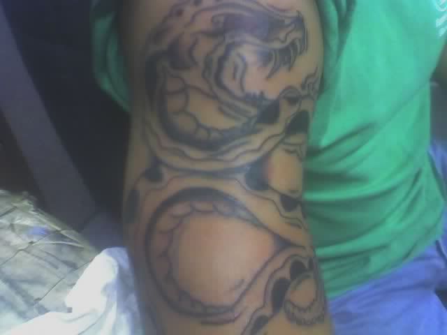 Cobra_tattoos,lion_tattoos,kuil_tattoo