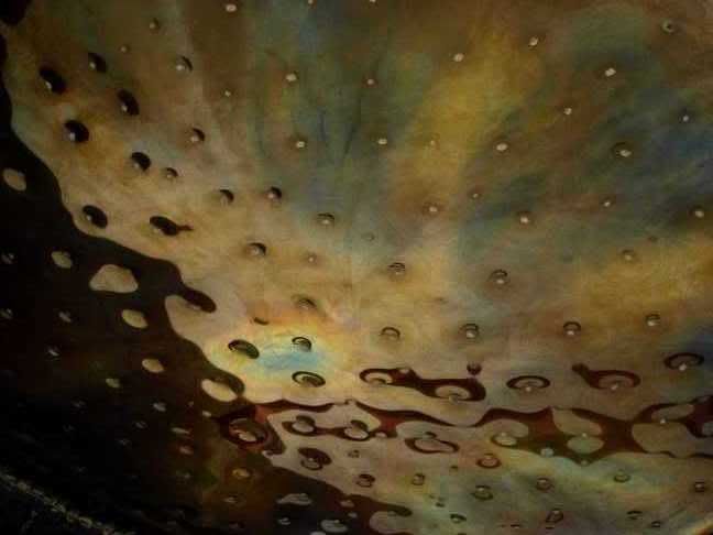 Photobucket - Video and Image Hosting