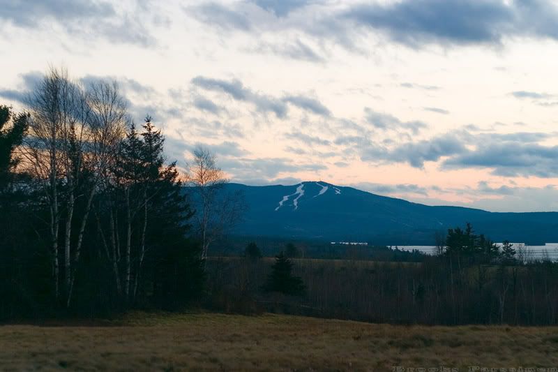 IMAGE: http://i51.photobucket.com/albums/f377/jell-oe2/Jan6%2007/CRW_0318copy.jpg