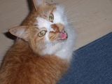 100_1331.jpg image by atomictoejam