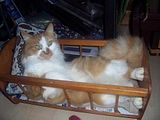 100_2079.jpg image by atomictoejam
