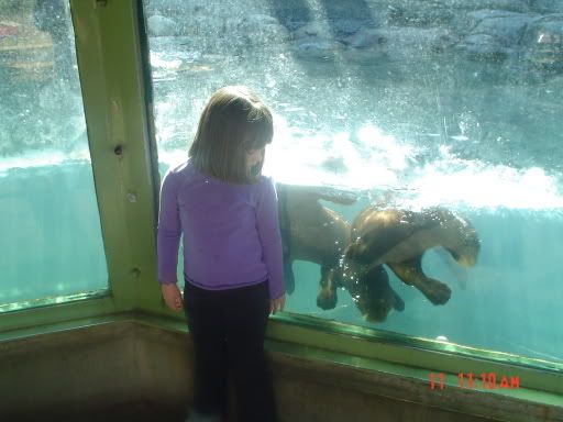 zoo007.jpg