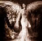 angel of death Pictures, Images and Photos