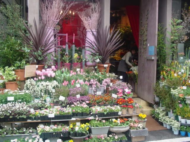 Image hosting by Photobucket