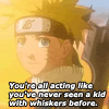 <img://i51.photobucket.com/albums/f379/Sango_Julie/Funny%20Stuff/Naruto%20funny/th_Whisker.gif>