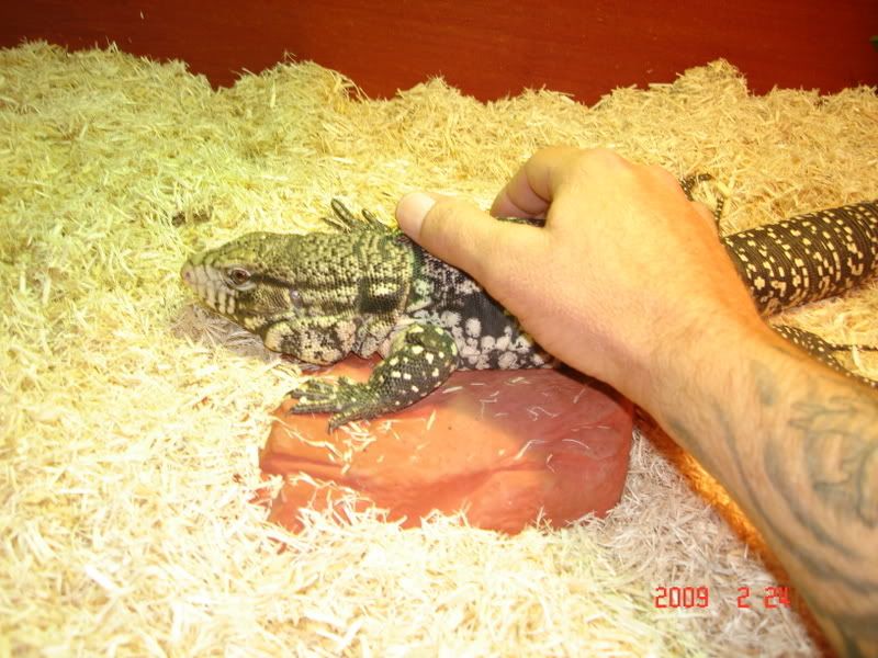 feb24tegu016.jpg